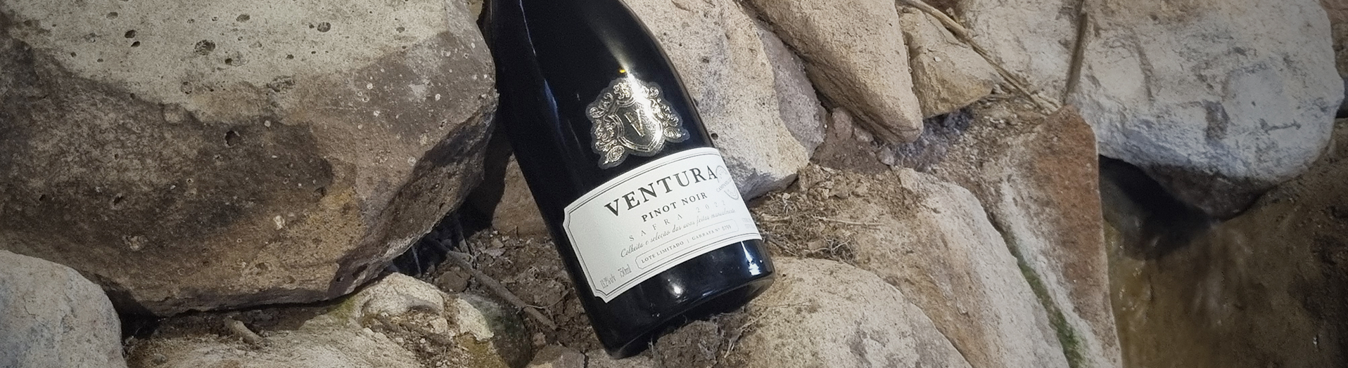 Ventura Pinot Noir